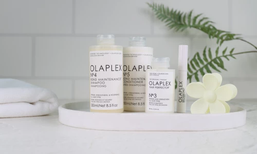 Winter - Olaplex Set